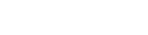 Bull Logo with Icon White_20